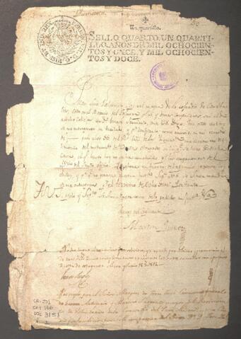 Open original Document numérique