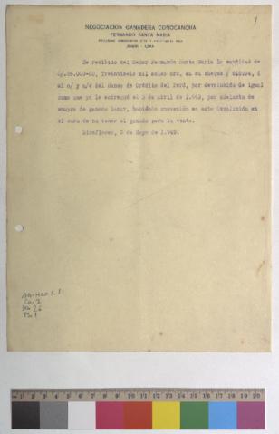 Open original Document numérique