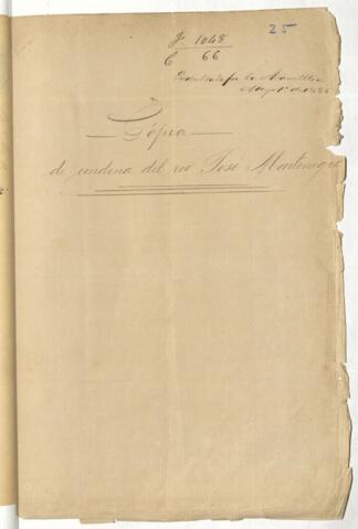 Open original Digital object