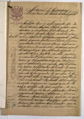 Copia sobre partición de bienes