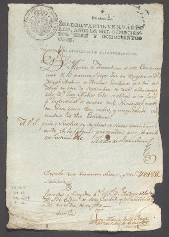 Open original Document numérique