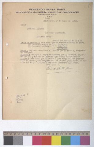 Open original Document numérique