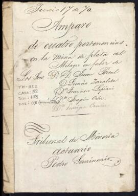 Amparo y posesión de mina