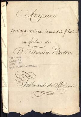 Amparo y posesión de mina