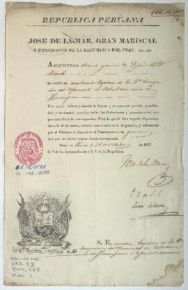 Nombramiento de Capitán