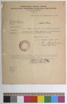 Venta de novillos y vacas rebajadas