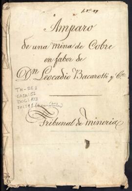 Amparo y posesión de mina