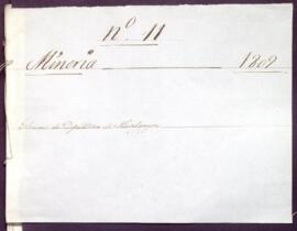 Elección de diputado y substitutos