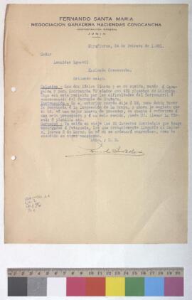 Envìo de calaminas y viaje de carneros importados