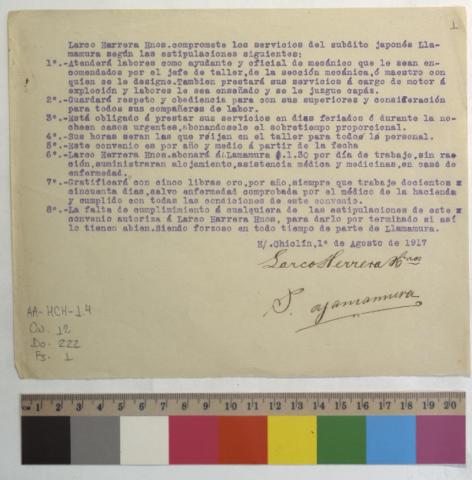 Open original Document numérique