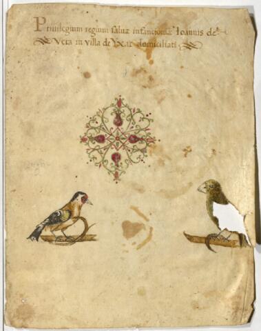 Open original Objeto digital