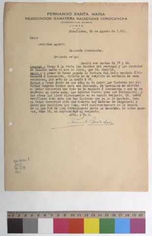 Open original Document numérique