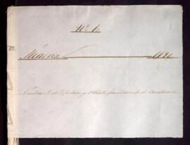 Elección de diputado y substituto