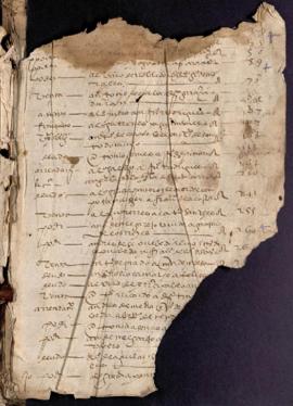 Protocolo notarial de Rodrigo Gómez de Baeza