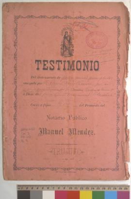 Testimonio de poder