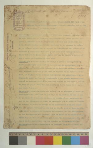 Open original Document numérique