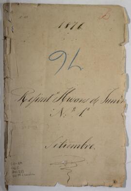 Revista a los Húsares de Junín