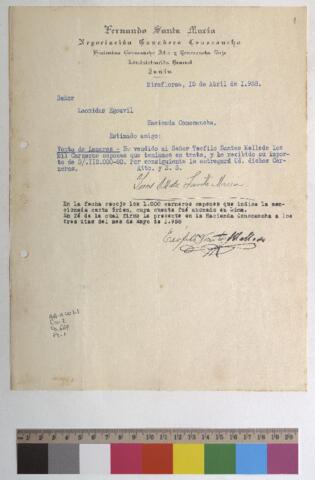 Open original Objeto digital