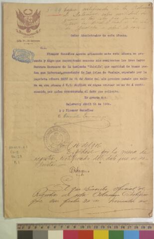 Open original Digital object