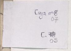 Open original Digitaal object