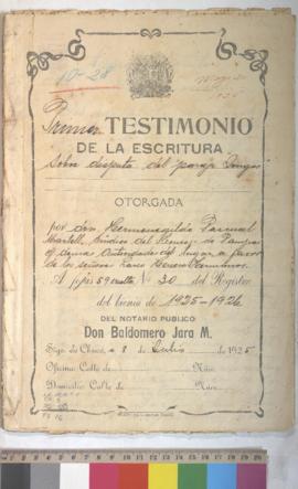 Testimonio de escritura de protocolización